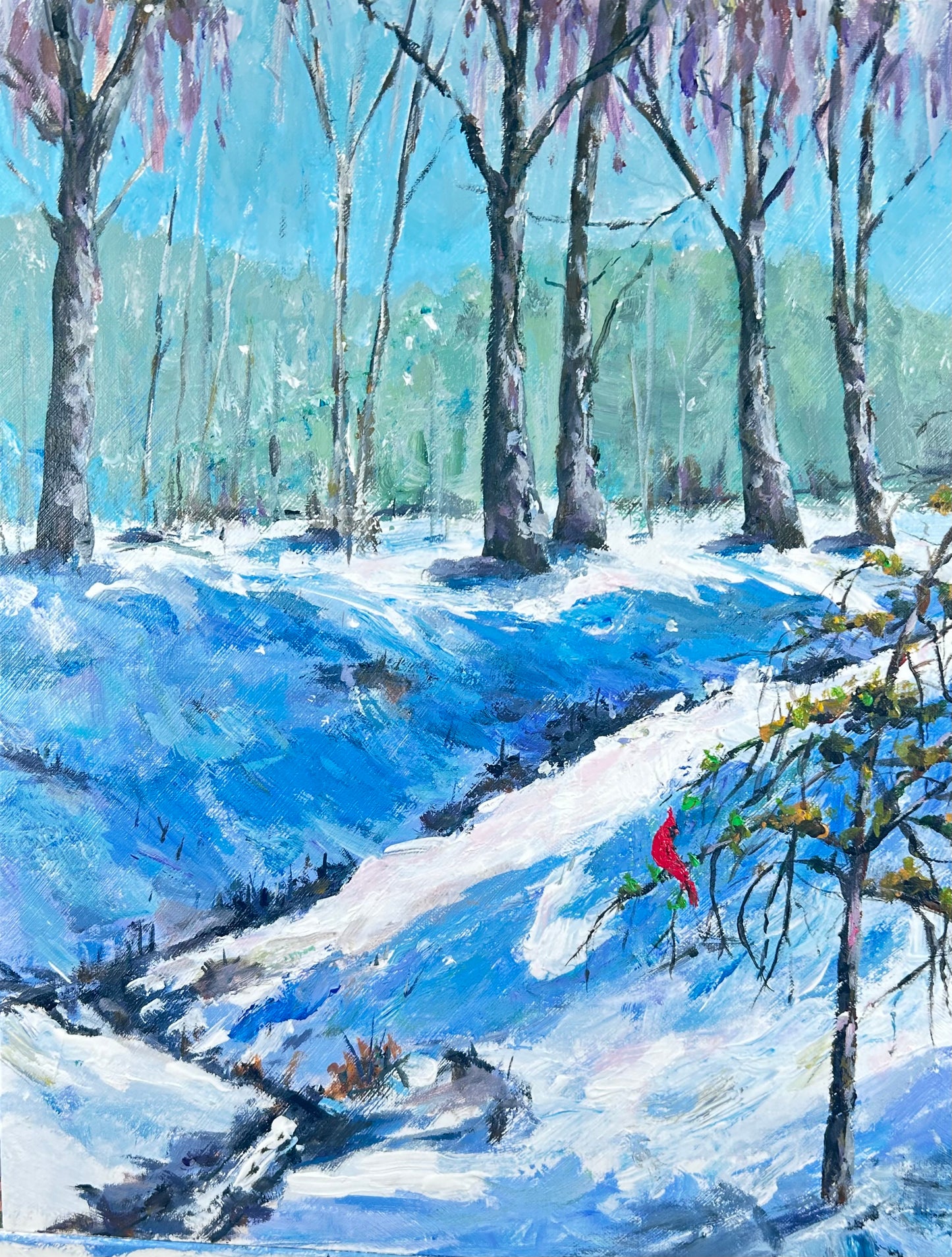 Winter Cardinal