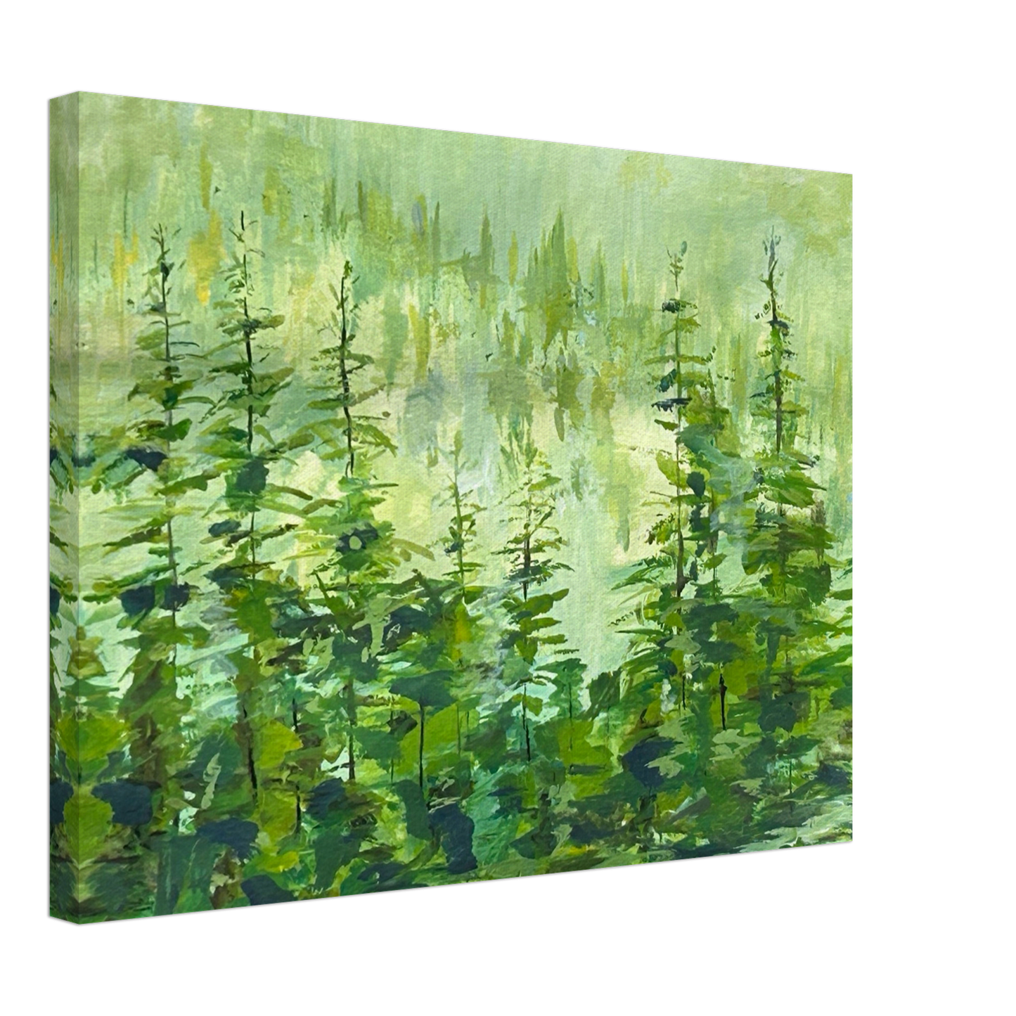 Campbell River Forest - Elk Falls Park