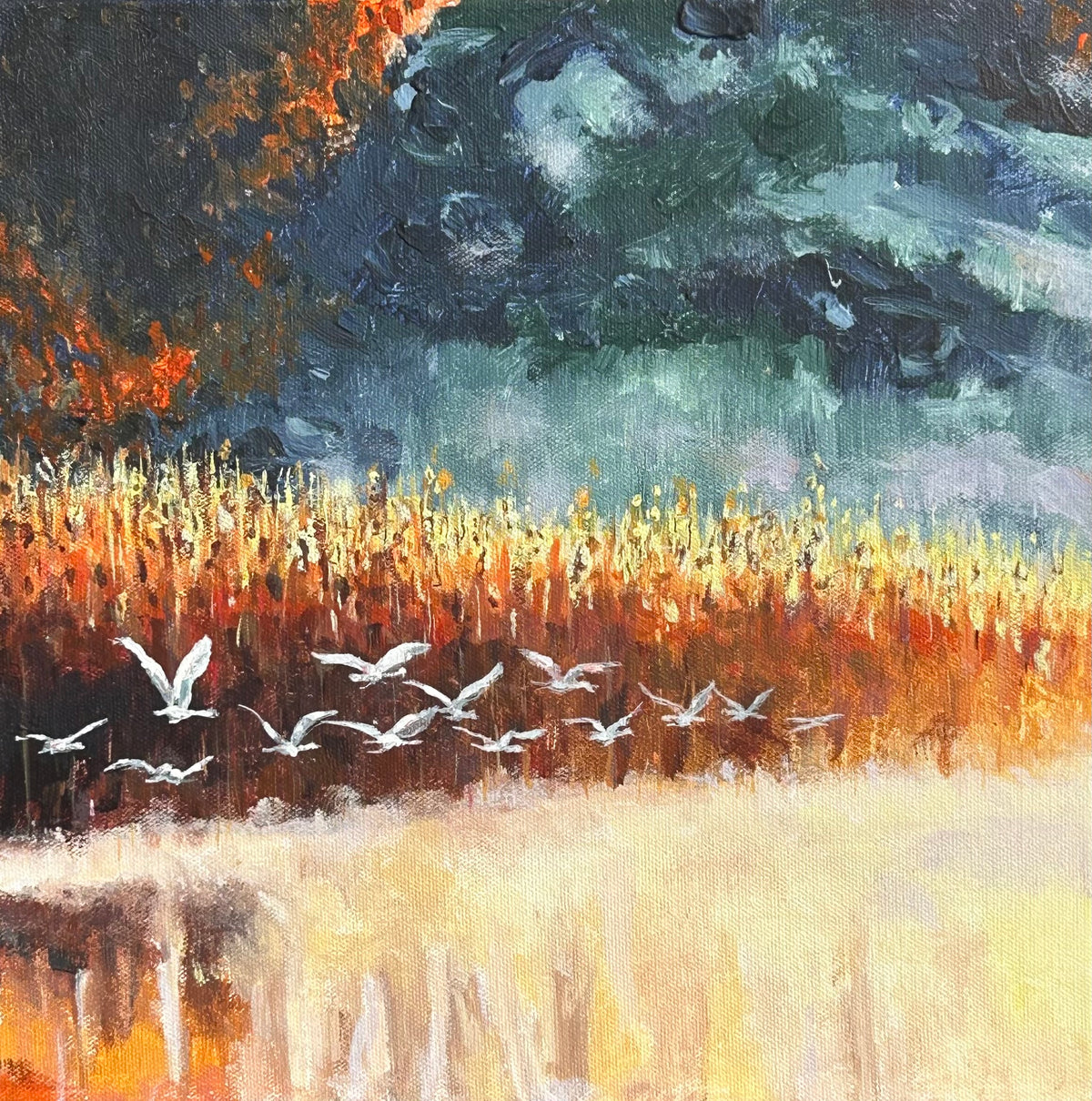 Moment in Flight