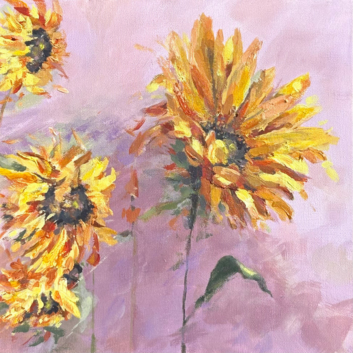 Wild Sun Flowers